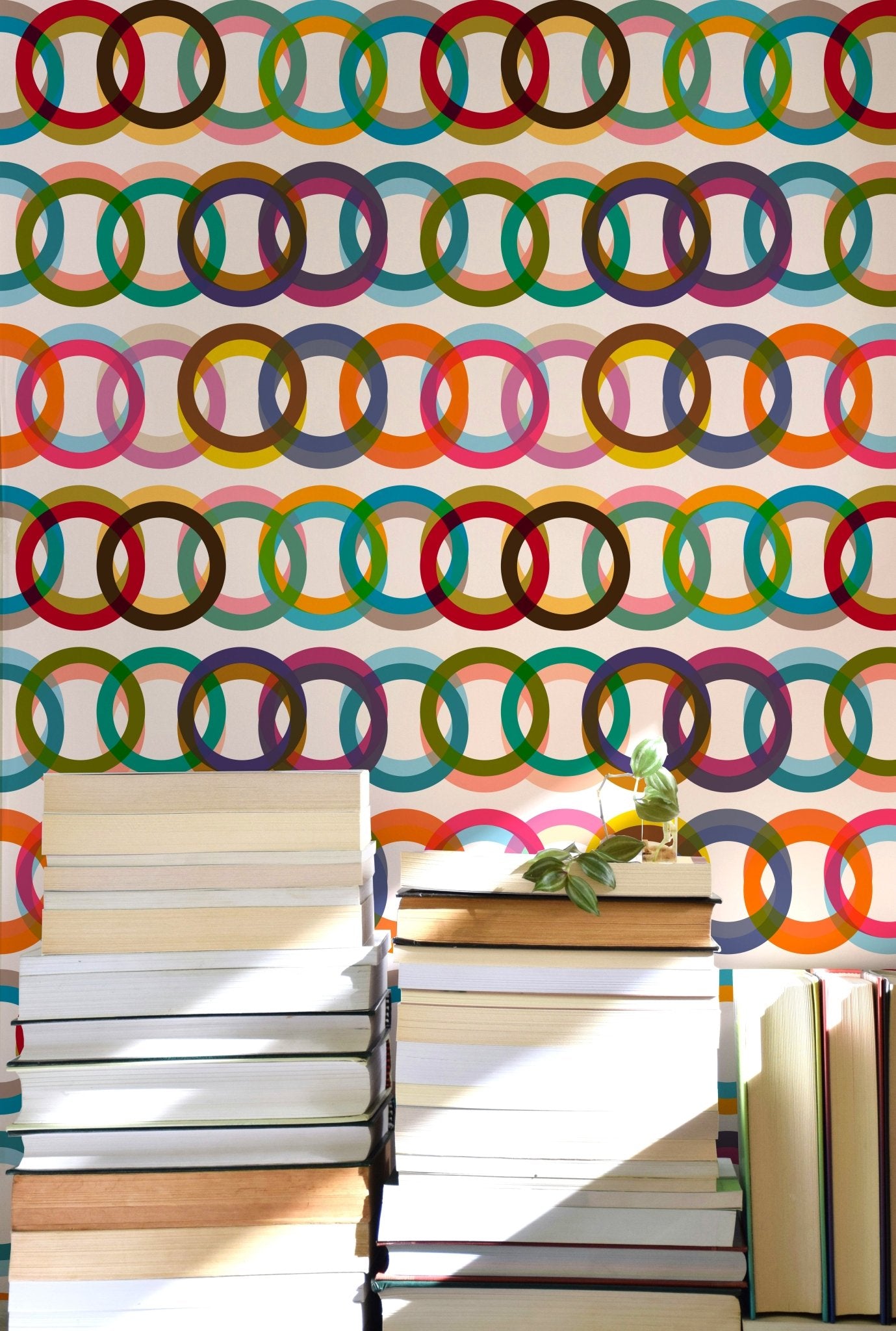 Willoughby Double Rings Retro Modern Wallpaper