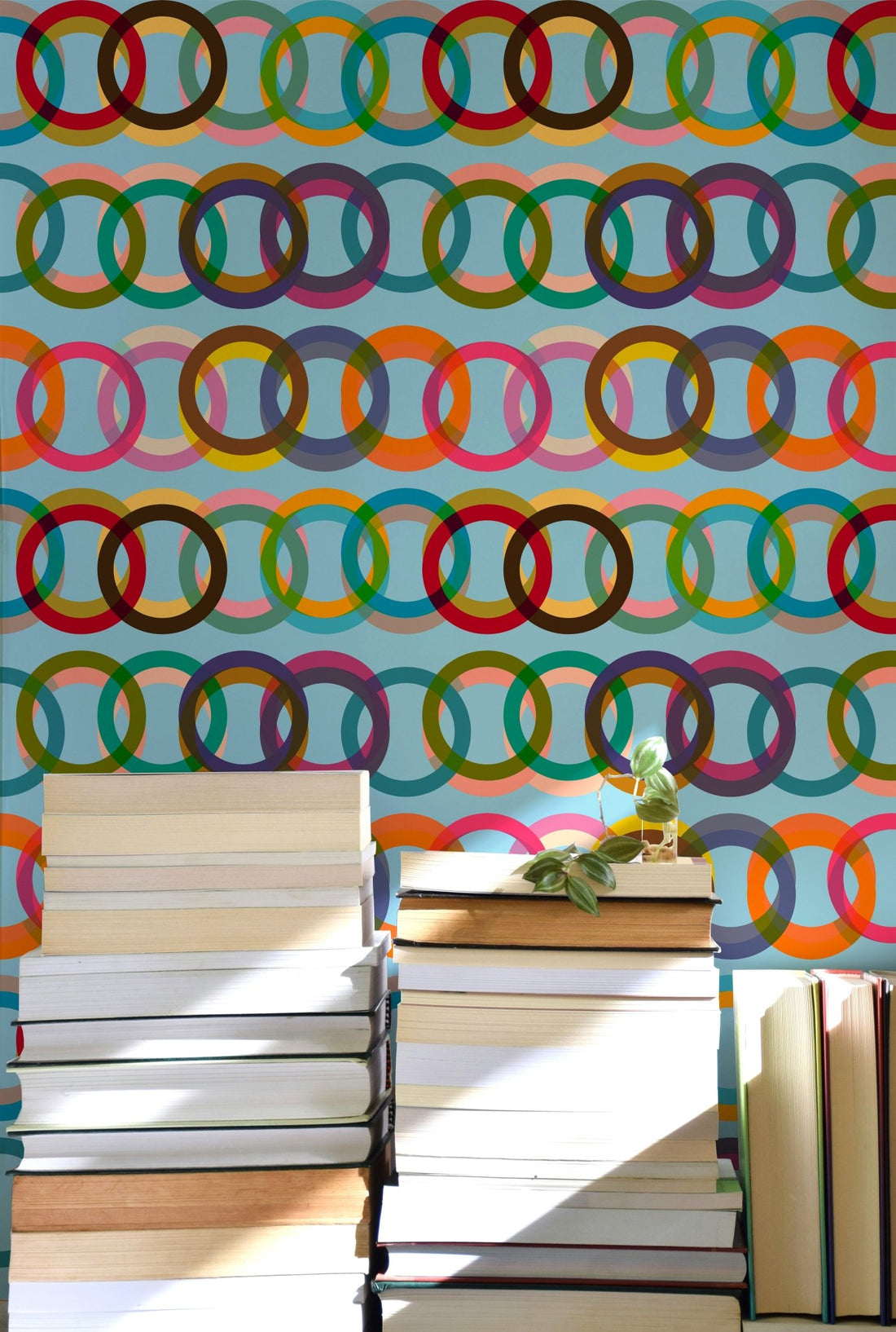Willoughby Double Rings Retro Modern Wallpaper